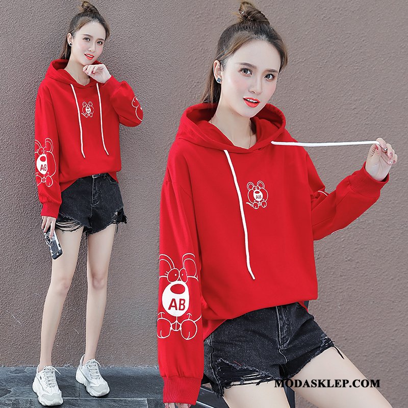 Damskie Bluza Z Kapturem Tanie Nowy Pullover Bawełna Jesień Wiosna Niebieski