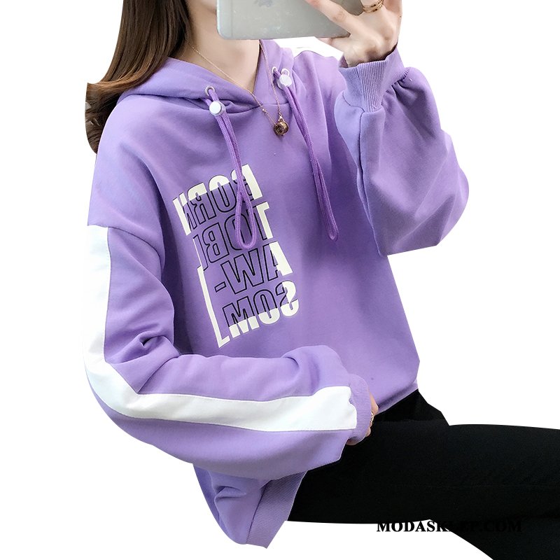 Damskie Bluza Z Kapturem Tanie Bluzy Z Kapturem Szerokie Jesień Nowy Płaszcz Fioletowy Czerwony